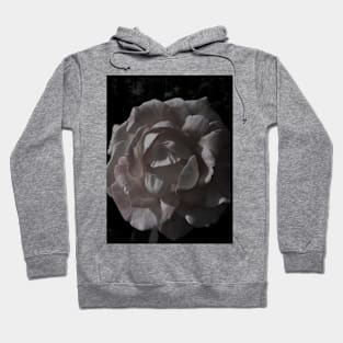 White velvet rose Hoodie